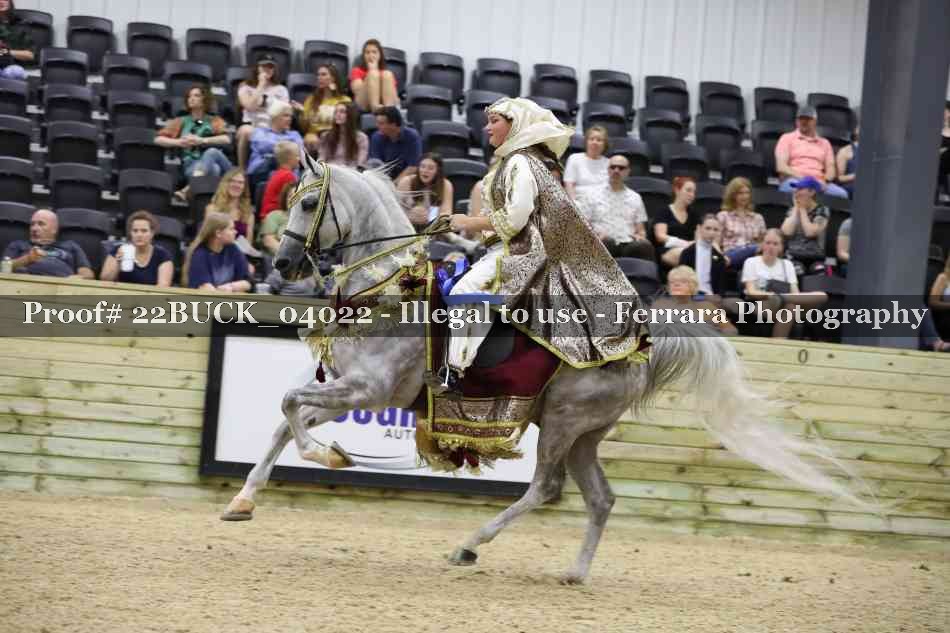 Proof 22BUCK_04022