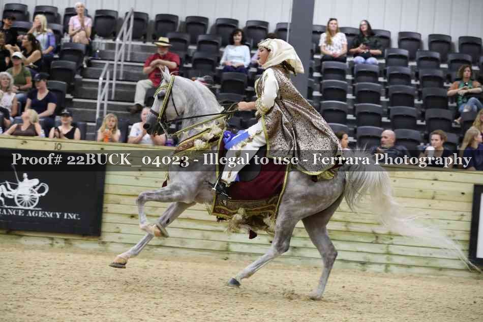 Proof 22BUCK_04023