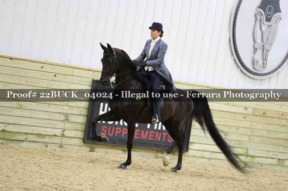 Proof 22BUCK_04024