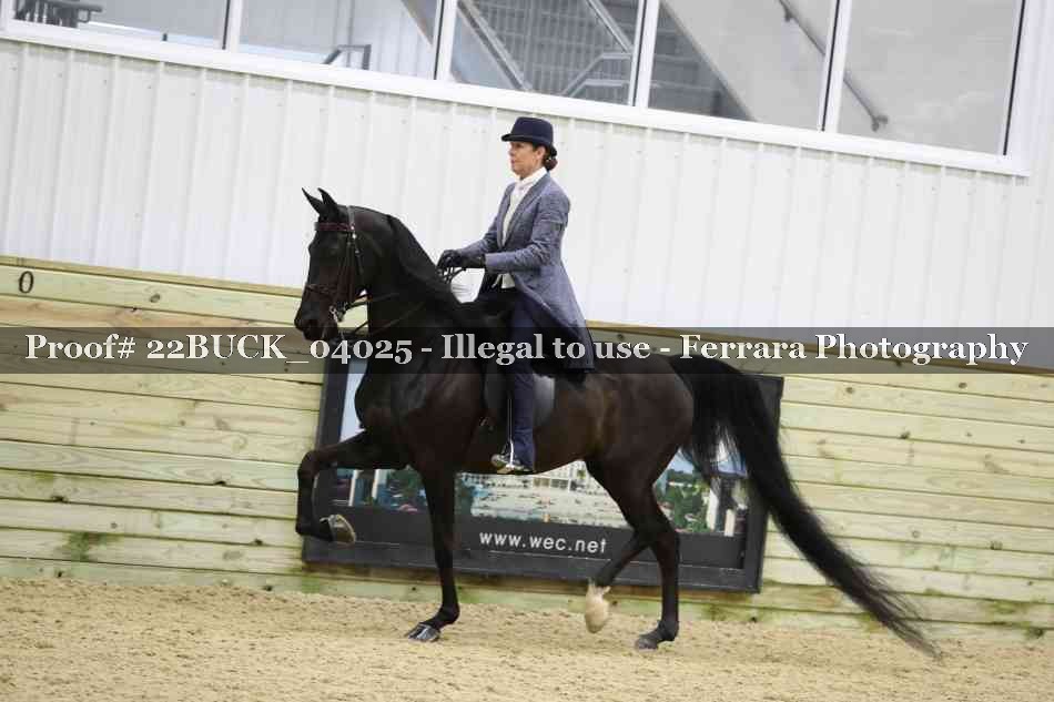Proof 22BUCK_04025
