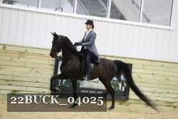 22BUCK_04025 proof