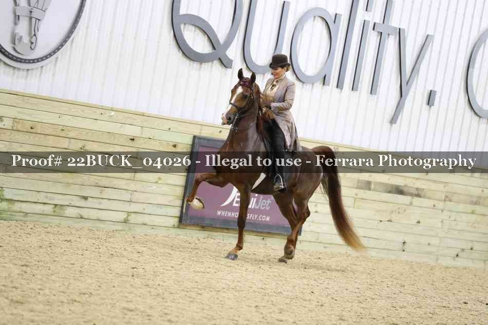 Proof 22BUCK_04026