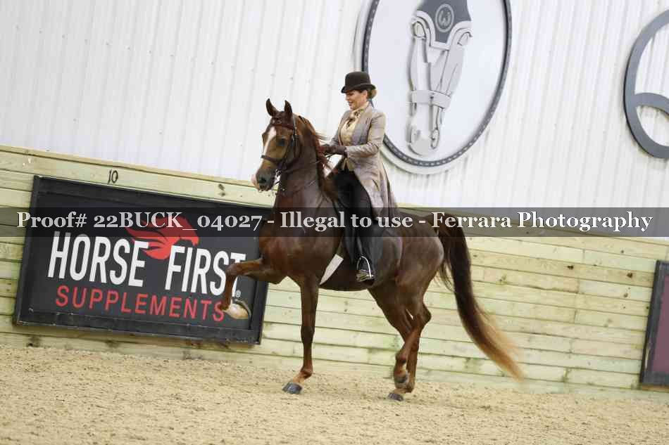 Proof 22BUCK_04027