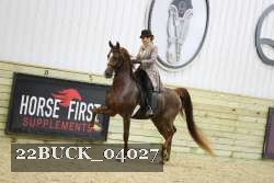 22BUCK_04027 proof