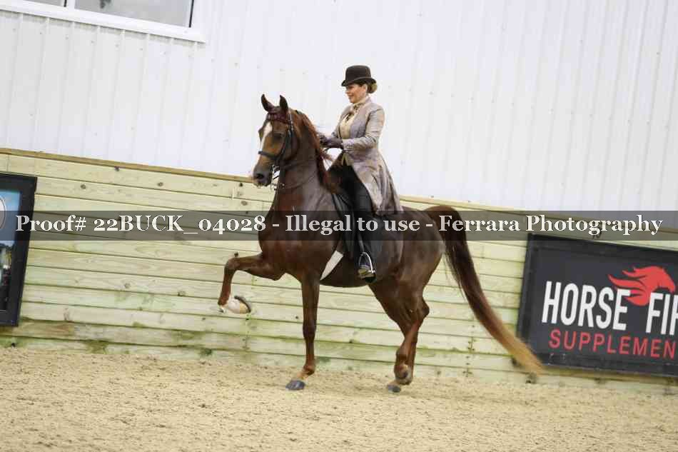 Proof 22BUCK_04028