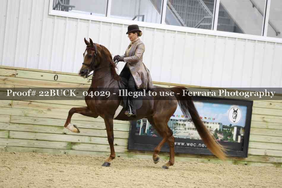 Proof 22BUCK_04029