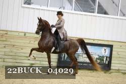 22BUCK_04029 proof