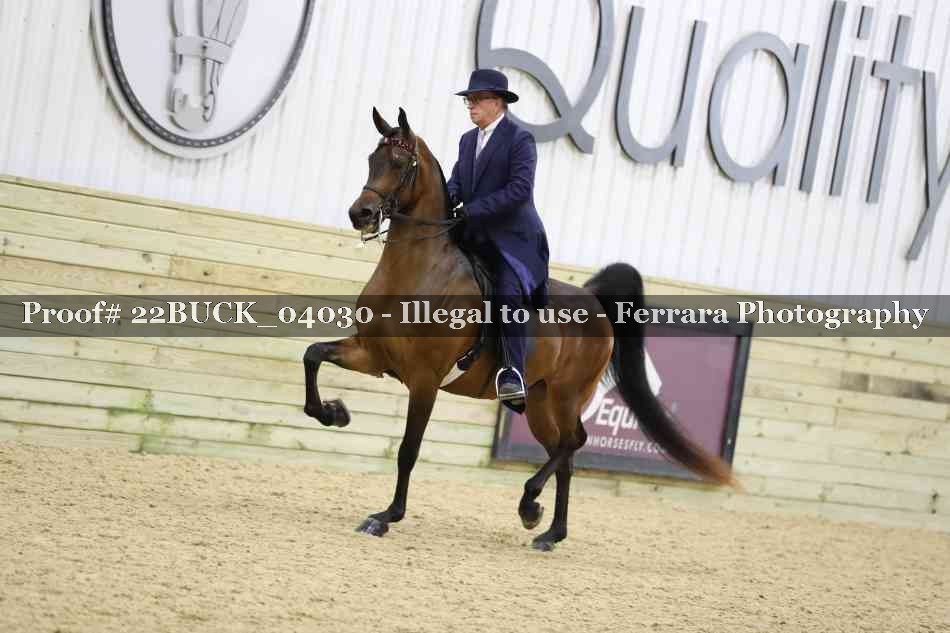 Proof 22BUCK_04030