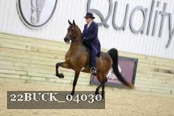 22BUCK_04030 proof