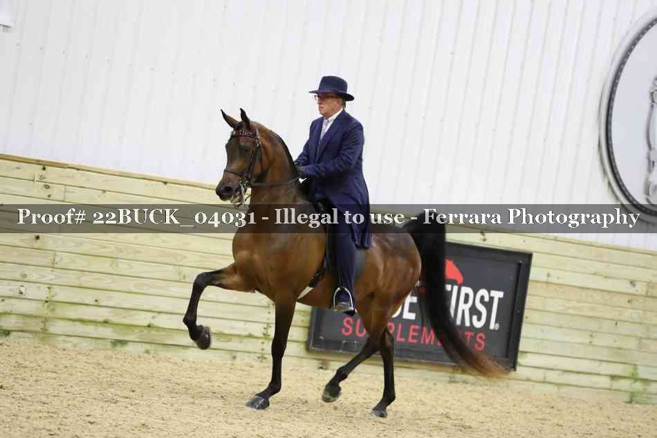 Proof 22BUCK_04031