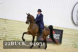 22BUCK_04031 proof