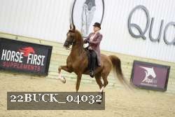 22BUCK_04032 proof