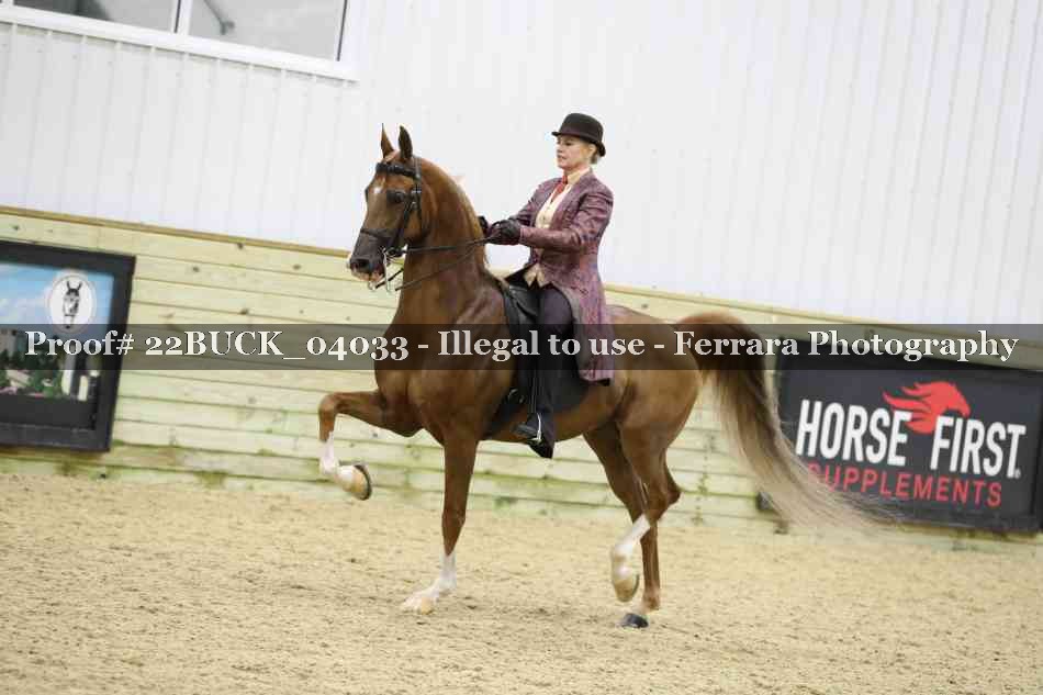 Proof 22BUCK_04033