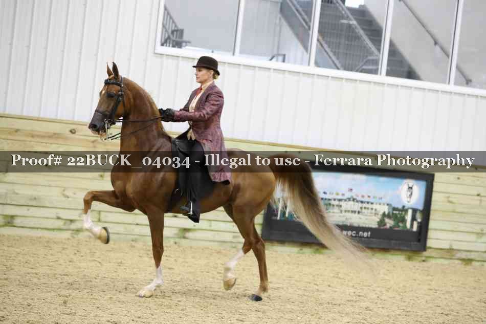 Proof 22BUCK_04034