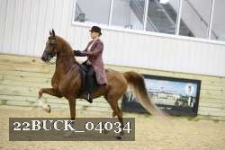 22BUCK_04034 proof