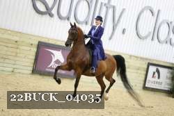 22BUCK_04035 proof
