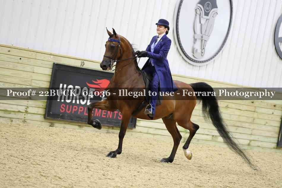 Proof 22BUCK_04036