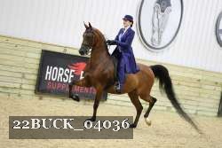 22BUCK_04036 proof