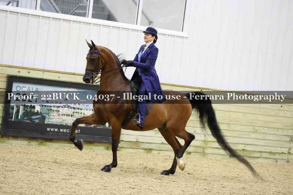 Proof 22BUCK_04037
