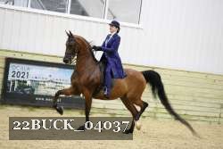 22BUCK_04037 proof