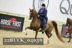 22BUCK_04038 proof