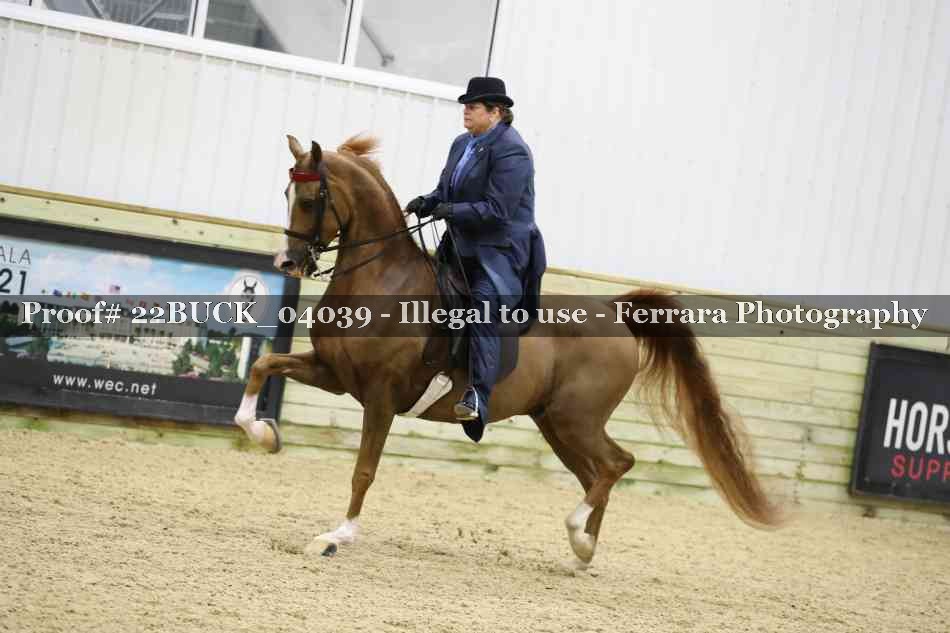 Proof 22BUCK_04039
