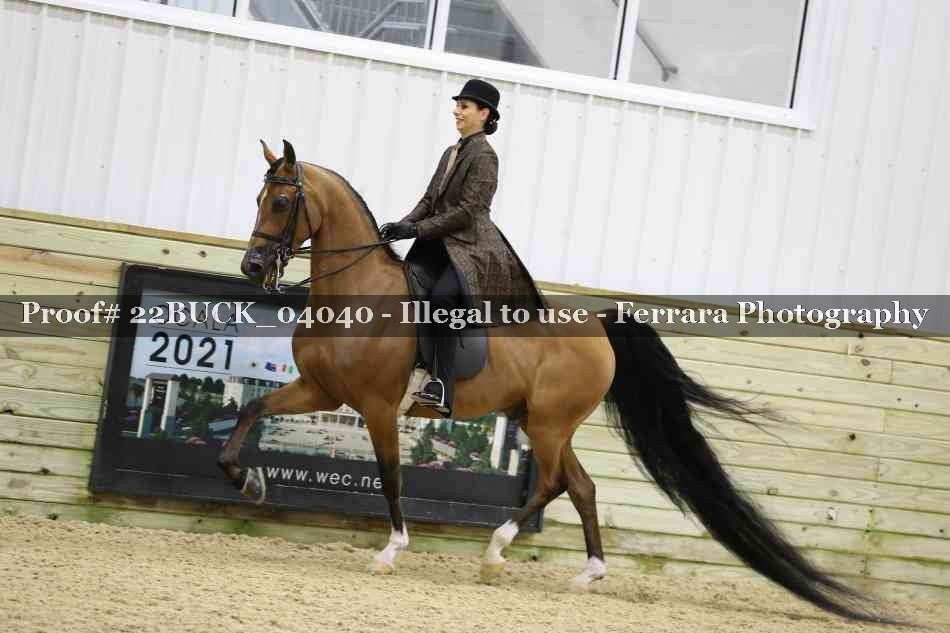 Proof 22BUCK_04040