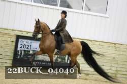 22BUCK_04040 proof
