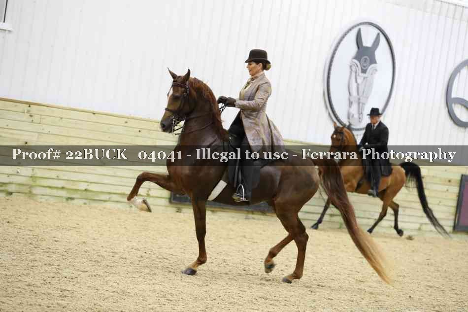 Proof 22BUCK_04041