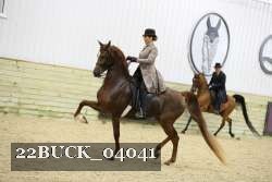 22BUCK_04041 proof