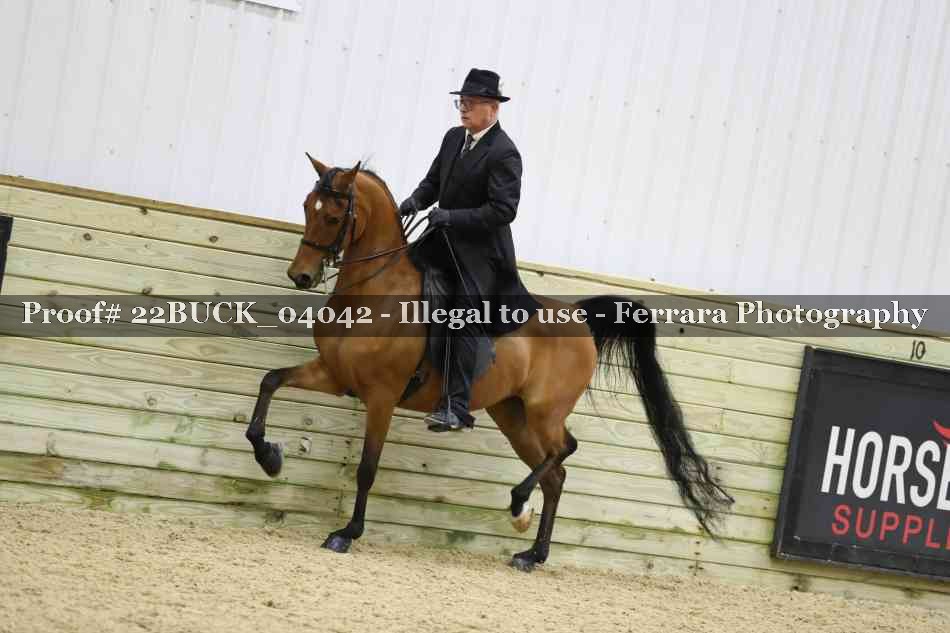 Proof 22BUCK_04042