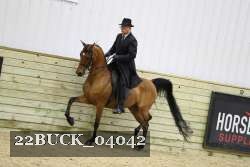 22BUCK_04042 proof