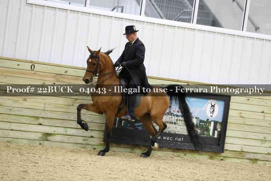 Proof 22BUCK_04043