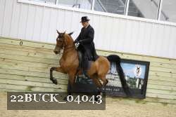 22BUCK_04043 proof