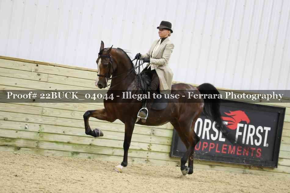 Proof 22BUCK_04044