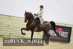 22BUCK_04044 proof