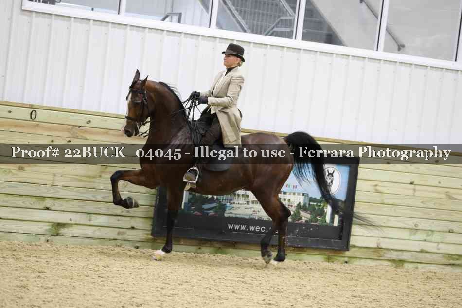 Proof 22BUCK_04045
