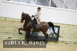 22BUCK_04045 proof