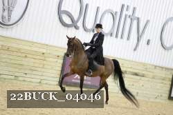 22BUCK_04046 proof