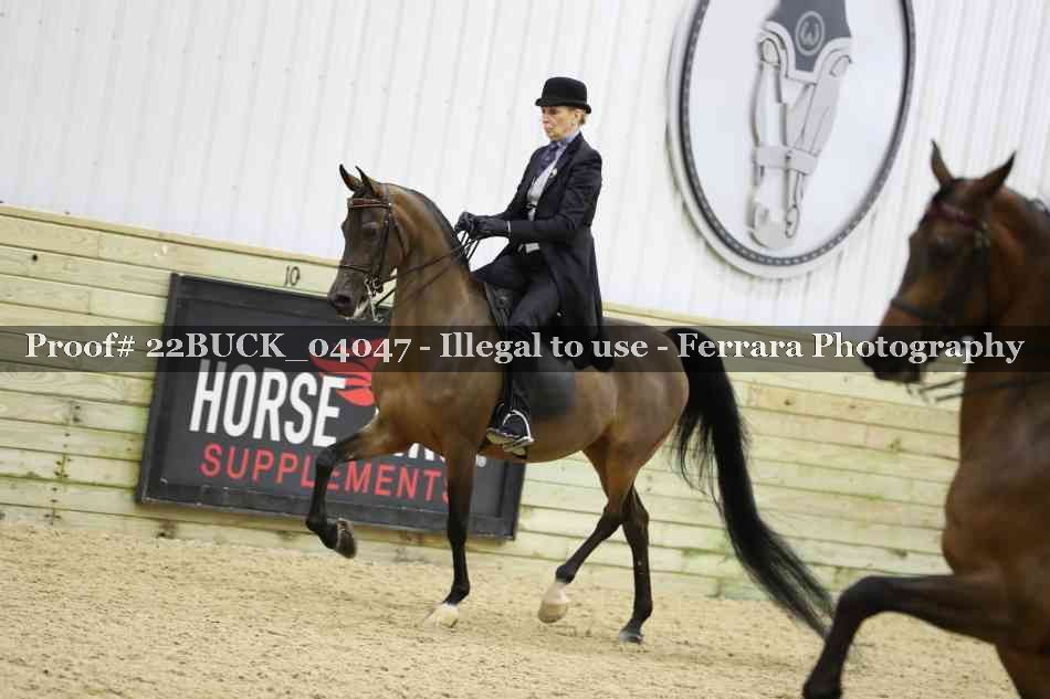 Proof 22BUCK_04047