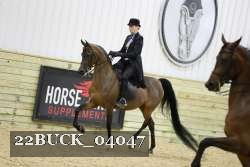22BUCK_04047 proof