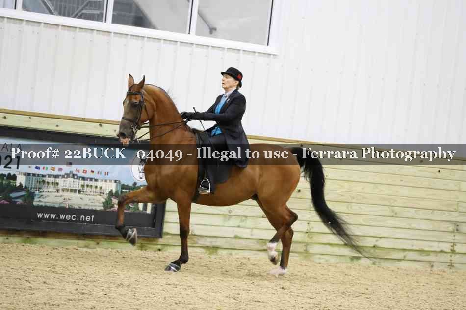 Proof 22BUCK_04049