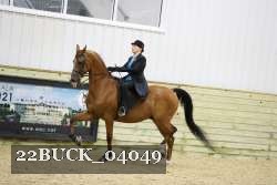 22BUCK_04049 proof