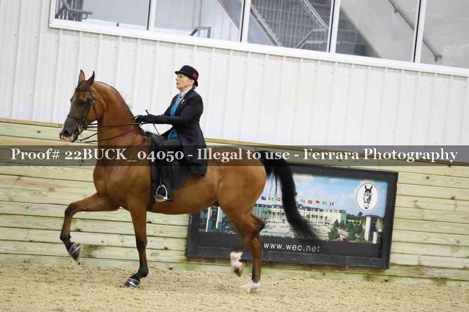 Proof 22BUCK_04050