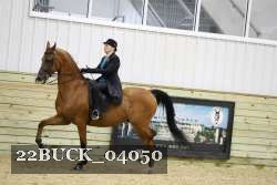 22BUCK_04050 proof