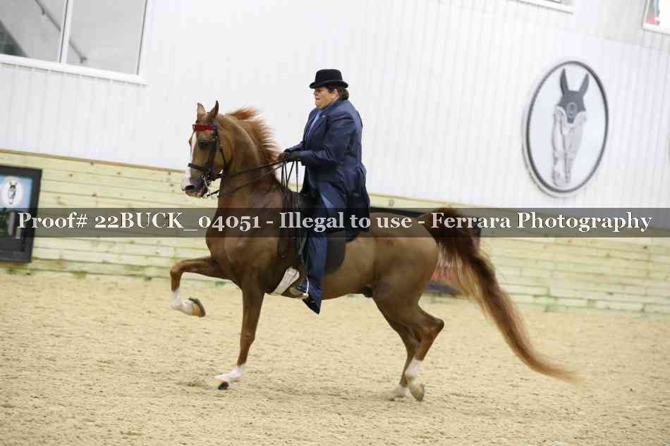 Proof 22BUCK_04051