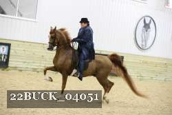 22BUCK_04051 proof