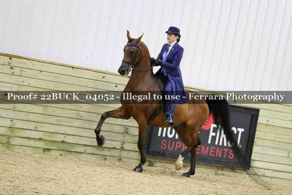 Proof 22BUCK_04052