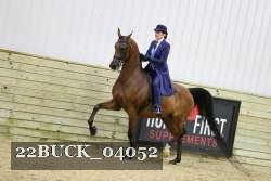 22BUCK_04052 proof