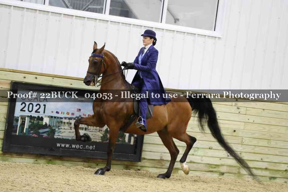 Proof 22BUCK_04053